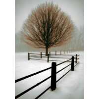 Read King & McGaw Reviews