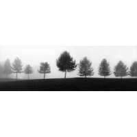 Read King & McGaw Reviews