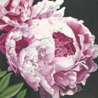 Read King & McGaw Reviews