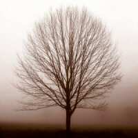 Read King & McGaw Reviews