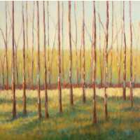 Read King & McGaw Reviews