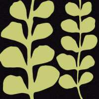 Read King & McGaw Reviews