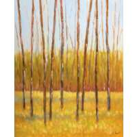 Read King & McGaw Reviews