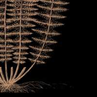 Read King & McGaw Reviews