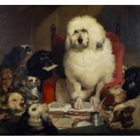 Read King & McGaw Reviews