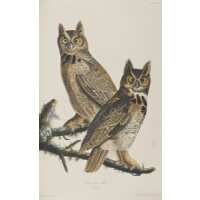 Read King & McGaw Reviews