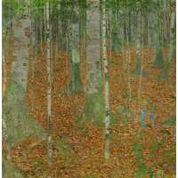 Read King & McGaw Reviews