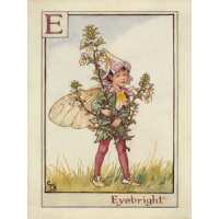 Read King & McGaw Reviews