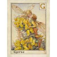 Read King & McGaw Reviews