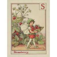 Read King & McGaw Reviews