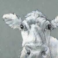 Read King & McGaw Reviews