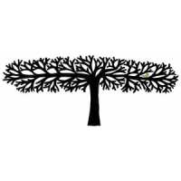 Read King & McGaw Reviews