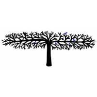 Read King & McGaw Reviews