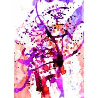 Read King & McGaw Reviews