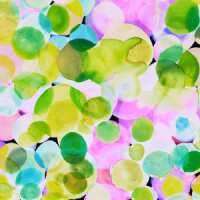 Read King & McGaw Reviews