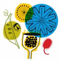 Read King & McGaw Reviews