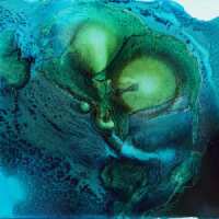 Read King & McGaw Reviews