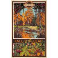 Read King & McGaw Reviews