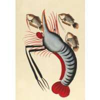 Read King & McGaw Reviews