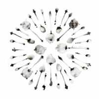 Read King & McGaw Reviews