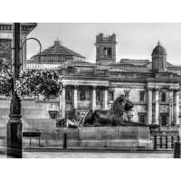 Read King & McGaw Reviews