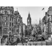 Read King & McGaw Reviews