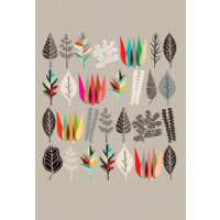 Read King & McGaw Reviews