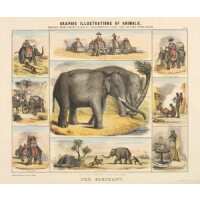 Read King & McGaw Reviews