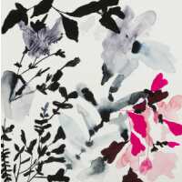 Read King & McGaw Reviews