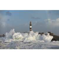 Read King & McGaw Reviews