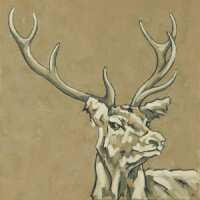 Read King & McGaw Reviews