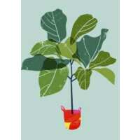 Read King & McGaw Reviews