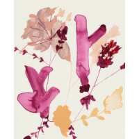 Read King & McGaw Reviews