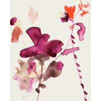 Read King & McGaw Reviews