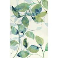 Read King & McGaw Reviews