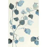 Read King & McGaw Reviews