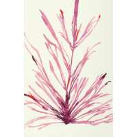 Read King & McGaw Reviews