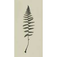 Read King & McGaw Reviews