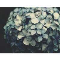 Read King & McGaw Reviews