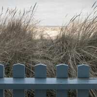 Read King & McGaw Reviews