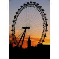 Read King & McGaw Reviews