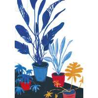 Read King & McGaw Reviews