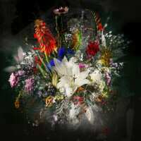 Read King & McGaw Reviews