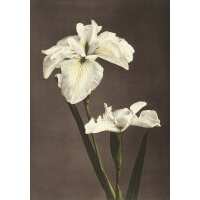 Read King & McGaw Reviews