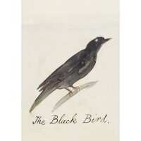 Read King & McGaw Reviews