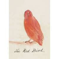 Read King & McGaw Reviews