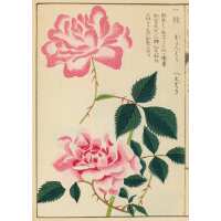 Read King & McGaw Reviews