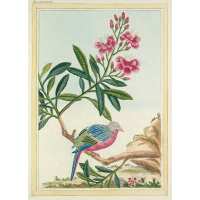 Read King & McGaw Reviews