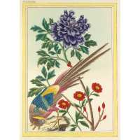 Read King & McGaw Reviews