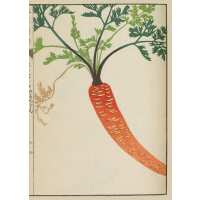 Read King & McGaw Reviews